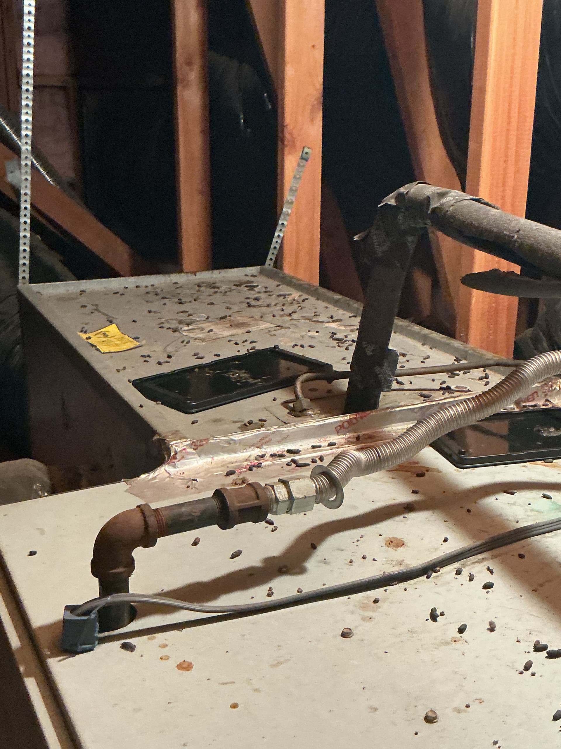 Rodent Damage to HVAC Systems Is More Common Than You Think image