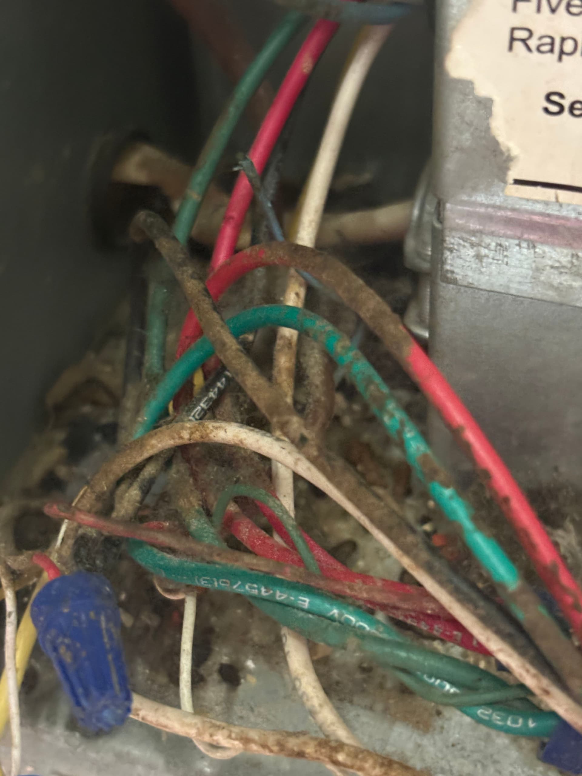 Gallery photos for Protect Your HVAC System from Rodent Damage: Image #2