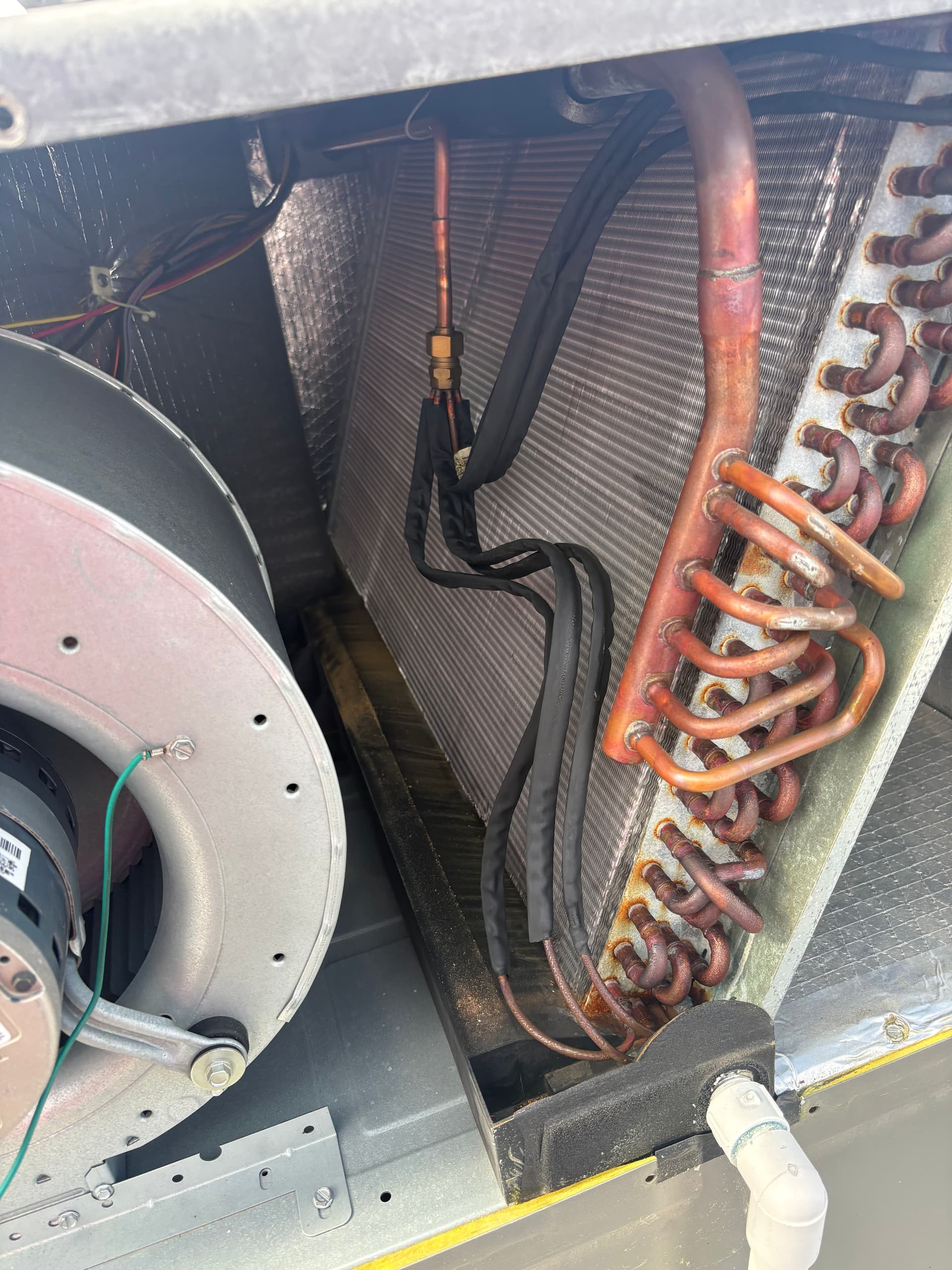 Gallery photos for Clean Coils and a Fresh Motor Before Summer Hits Hard: Image #2
